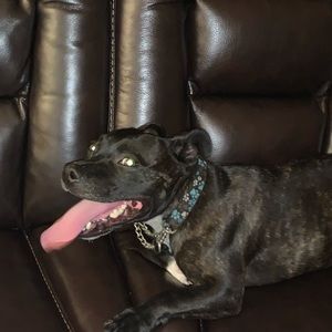 Meet your Posher, Ava